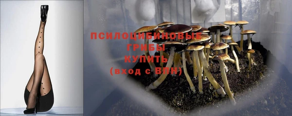 бутират Алексин