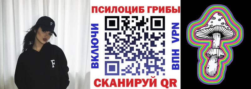 Псилоцибиновые грибы мицелий  Борзя 